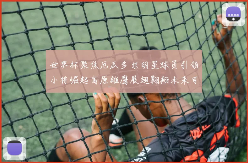 世界杯聚焦厄瓜多尔明星球员引领小将崛起高原雄鹰展翅翱翔未来可期