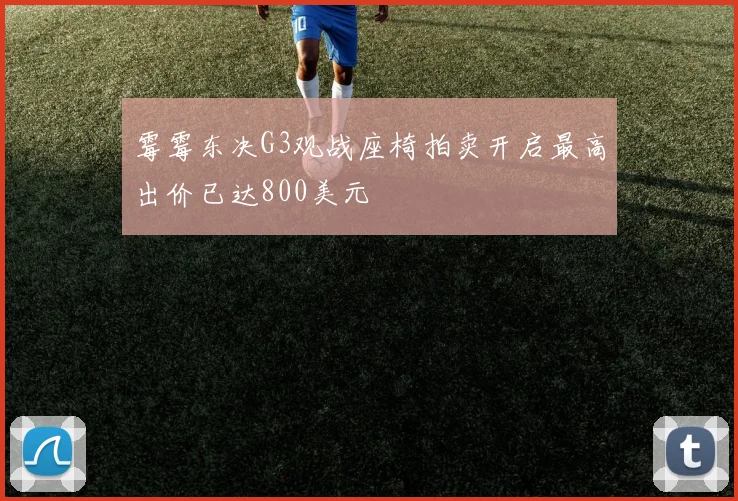 霉霉东决G3观战座椅拍卖开启最高出价已达800美元