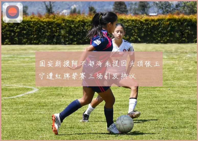 国安新援阿不都海米提因头顶张玉宁遭红牌禁赛三场引发热议